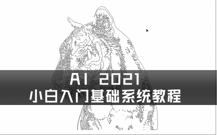 AI 2021-小白入门基础系统教程素材及工程