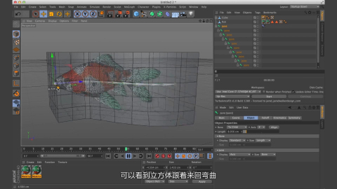 01-金鱼的绑定和动画_20210425150946.JPG