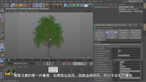 Forester for Cinema 4D Creating a Tree From Scratch 3中文_20210618121112.JPG